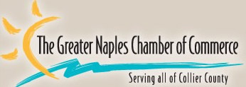 Chamber Member